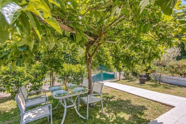 Villa Maison Blanche Tulle 1 A 4 Personnes Exteriör bild